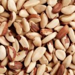 10lb Brazil Nut Pieces - Bulk Ingredients