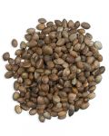 20lb Hemp Seed - Bulk Ingredients